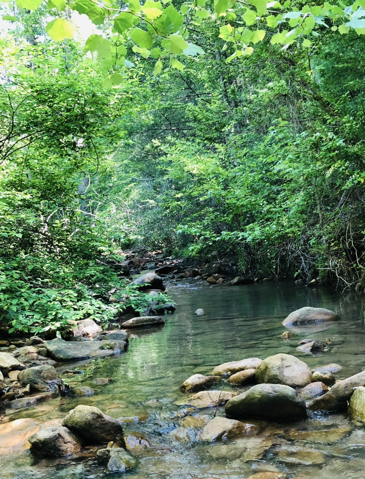 creek