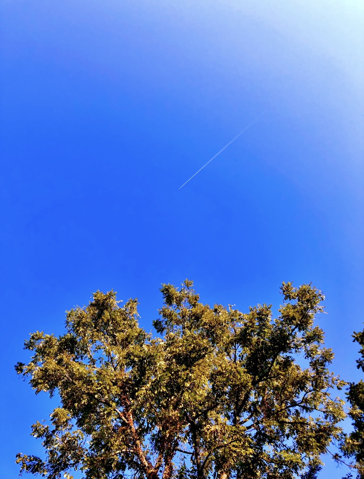 Bluesky (the fanfic)